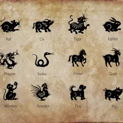 Koń: charakterystyka i cechy chińskiego znaku zodiaku