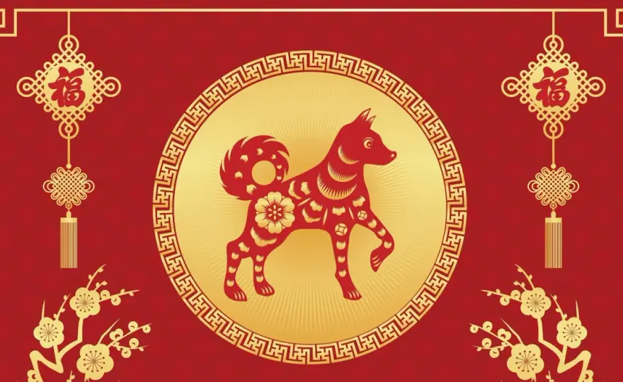 Pies jako chiński znak zodiaku: poznaj jego charakterystykę